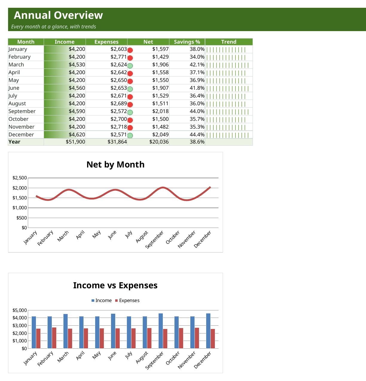 Annual 12-month overview with income, expense, net and savings-rate trend charts